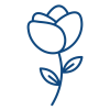 Gemini_Generated_Image_r6wc24r6wc24r6wc
